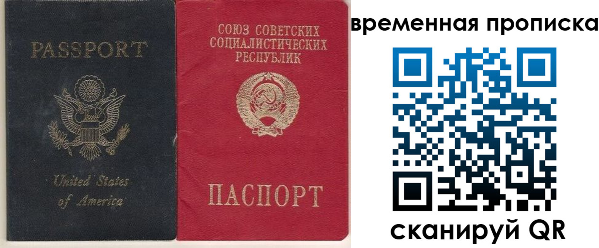 прописка для школы в Тверской области